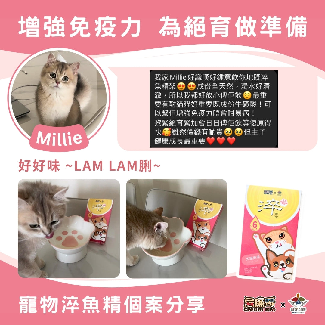 【個案分享|Millie為絕育作準備!】