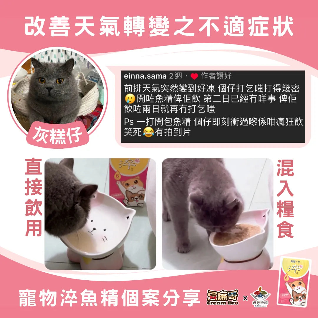 【個案分享|飲兩日無再打乞嗤!】
